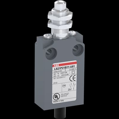 ls21p21b11-u01