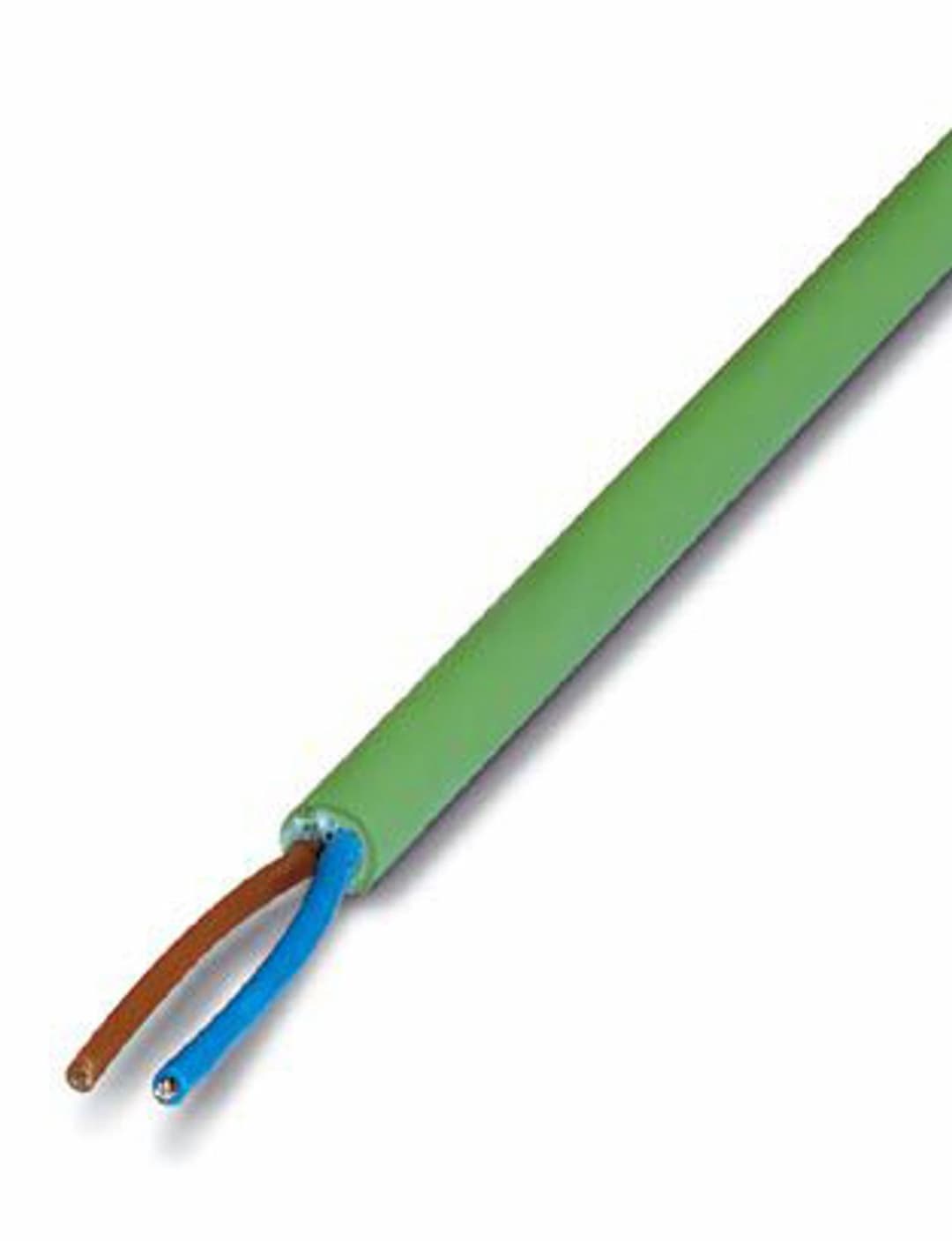 Phoenix Contact IBS DATA/2HD/F