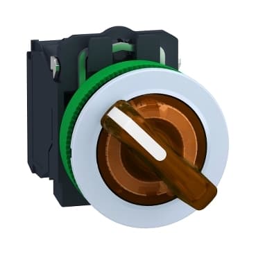 schneider XB5FK125B5C1