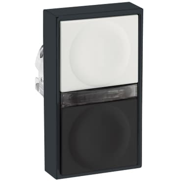 schneider ZB4BW8117237