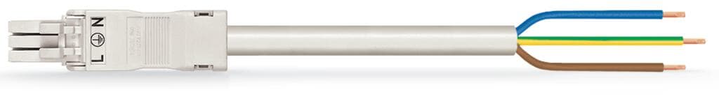 wago 891-8993/106-302