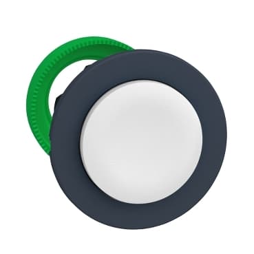 schneider ZB5FL1 schneider ZB5FL1